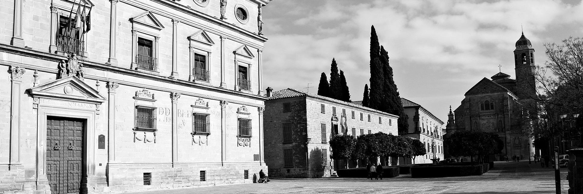 palopezbarella's profile banner image