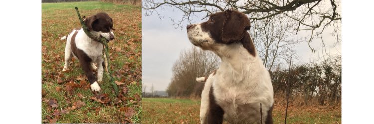 chloejoyce10's profile banner image