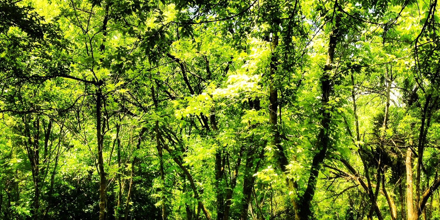 TayseerSeminary's profile banner image
