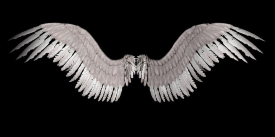 AngelicTrades's profile banner image