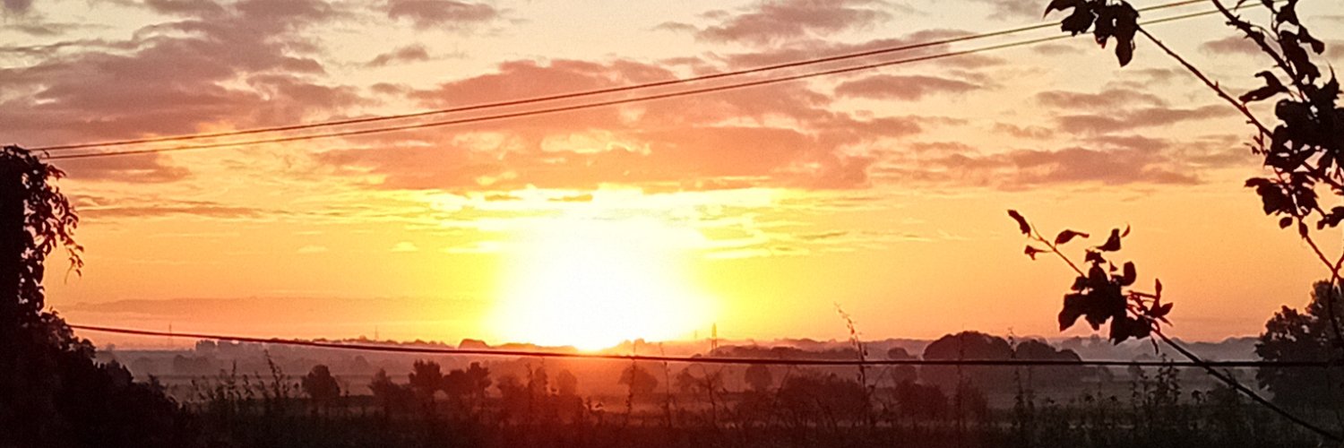 mldw235's profile banner image