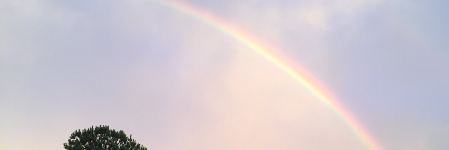 gmcstorey's profile banner image