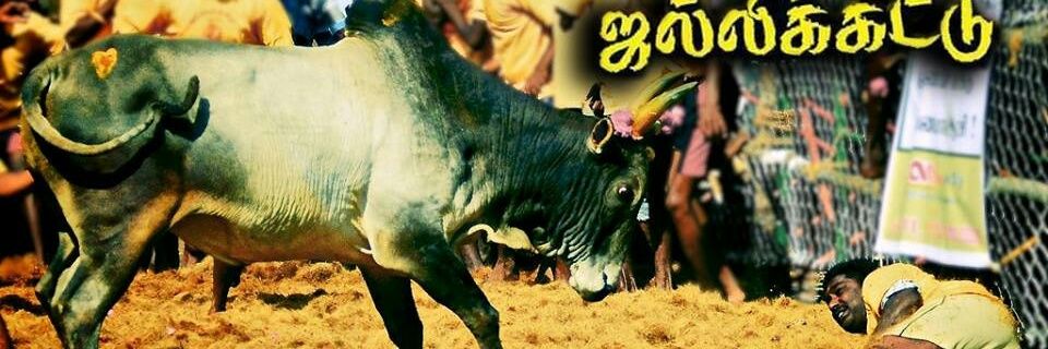 sharp_sudha's profile banner image