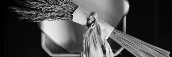 xf1lux Profile Banner