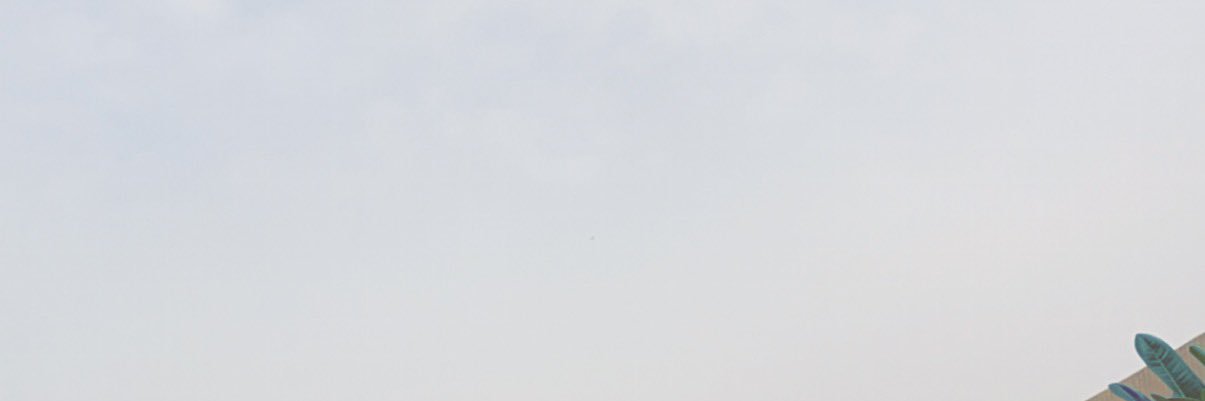 haiffon's profile banner image