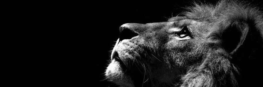 sergiofelipe's profile banner image