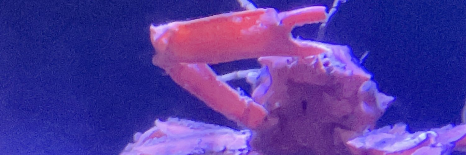 Arkxxx39's profile banner image