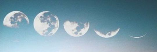 Cillisindrella's profile banner image