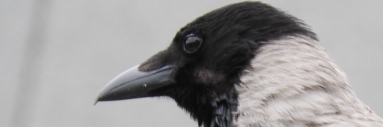 Frank Parakenings banner