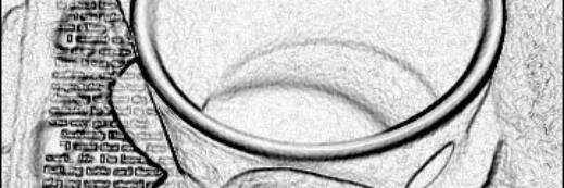 dastrose's profile banner image