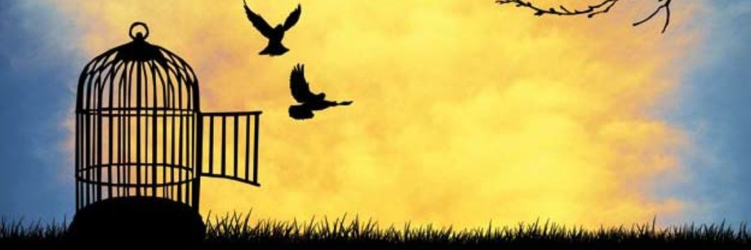 76Dr76's profile banner image