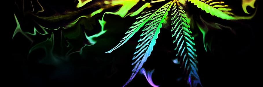 SoulSearch481's profile banner image
