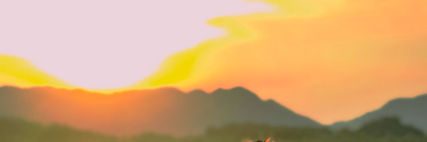 AcostaStrong's profile banner image