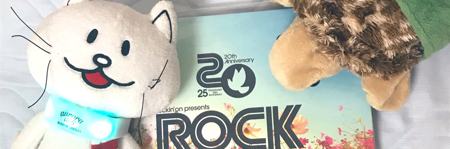 AuroraEveryday's profile banner image