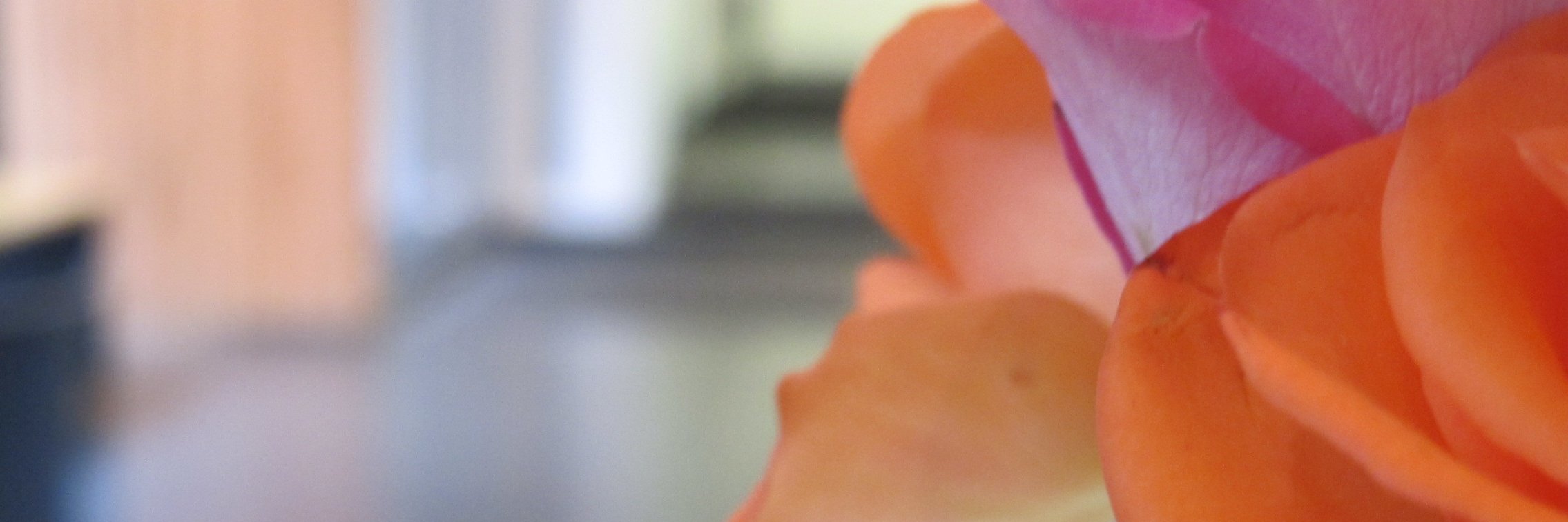infomwr's profile banner image