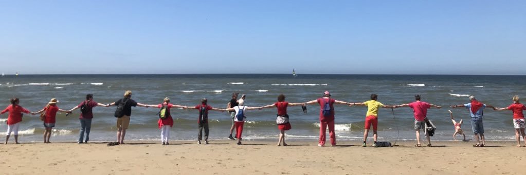 Suzanne Kröger 💚 banner