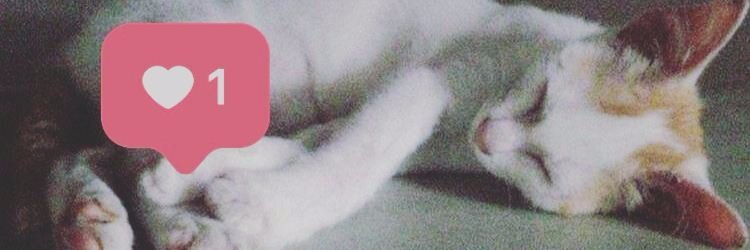 lykha_'s profile banner image