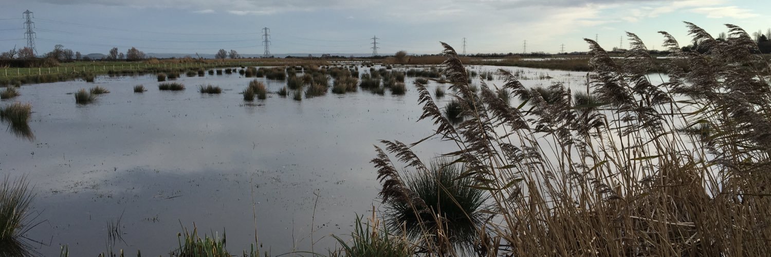 working wetlands banner