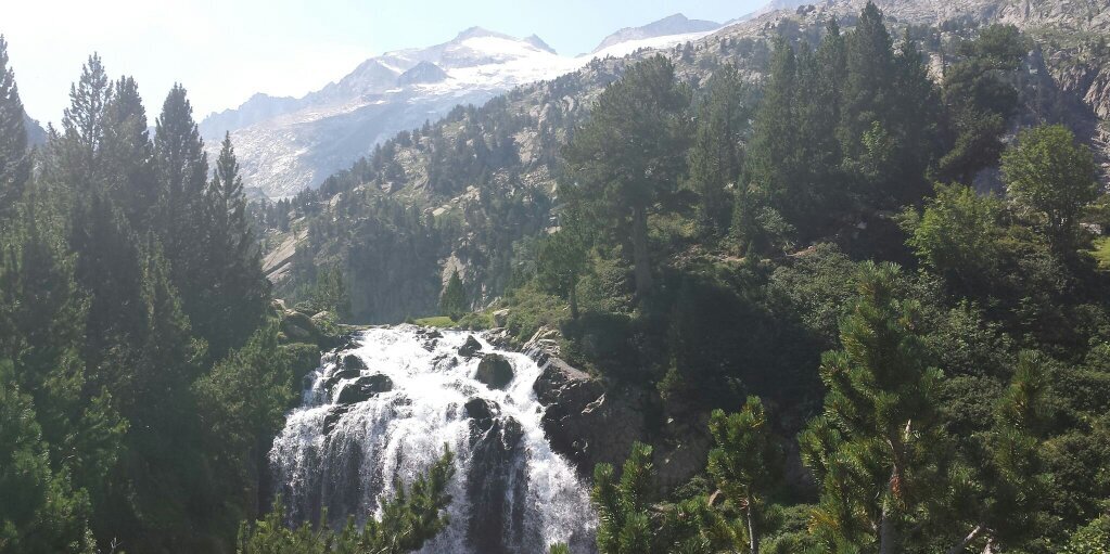 mpazmtnez's profile banner image