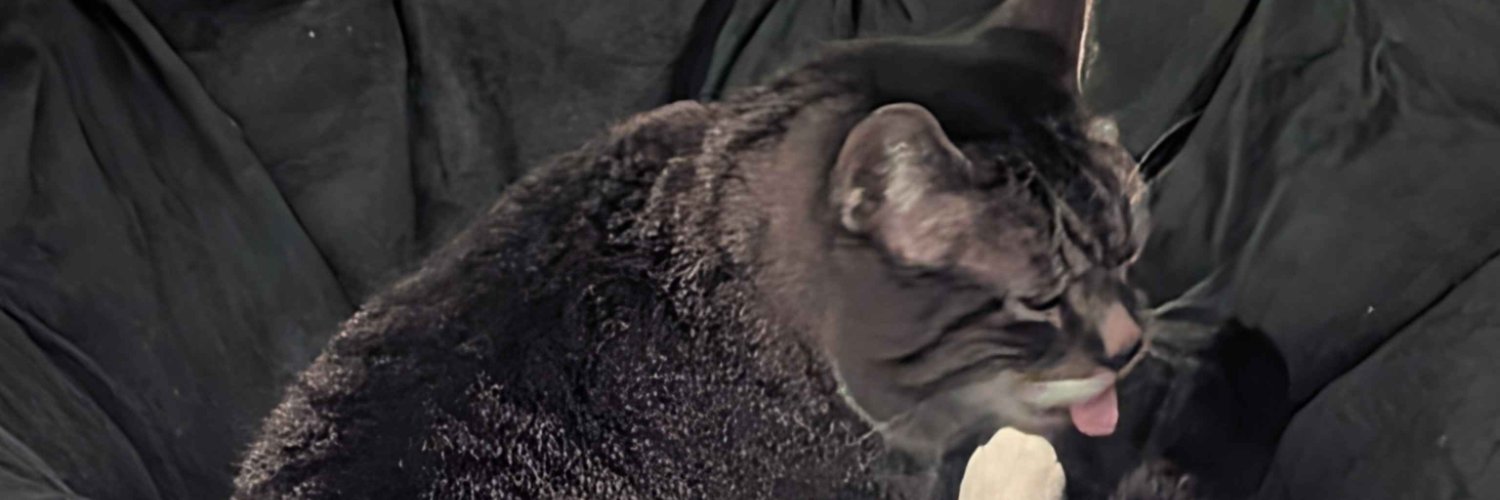 TheRoubi's profile banner image