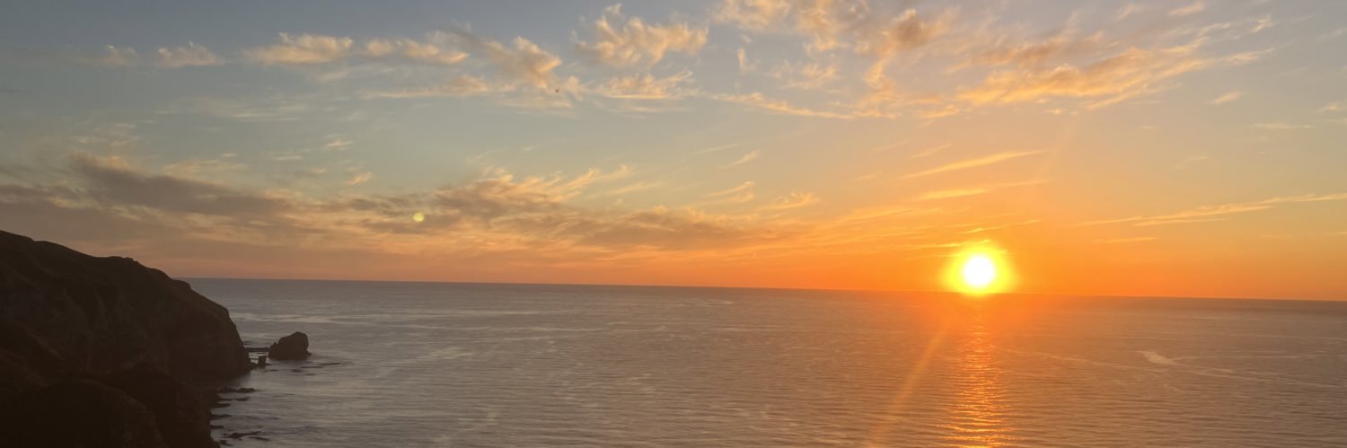SNcyanus's profile banner image