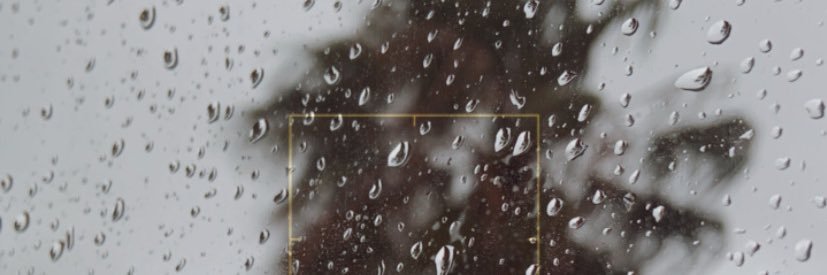 ludovicasca's profile banner image