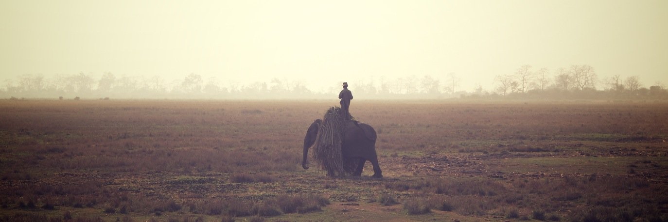 H-ELP - Human Elephant Learning Programs banner