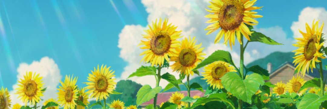 Aliz_Aka's profile banner image