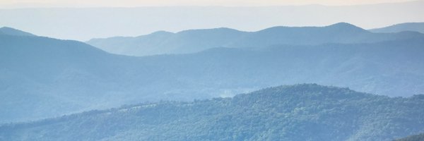BWGREENLEAF Profile Banner
