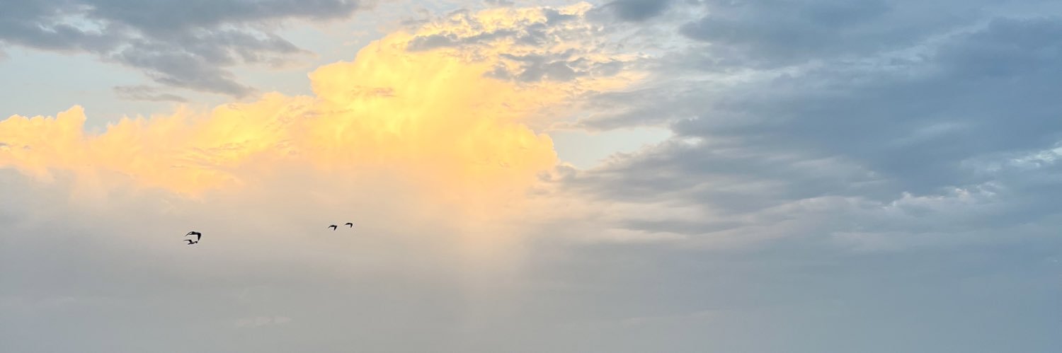 TTHHAA1997's profile banner image