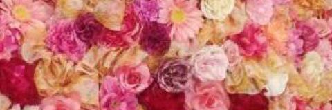 sztrh's profile banner image