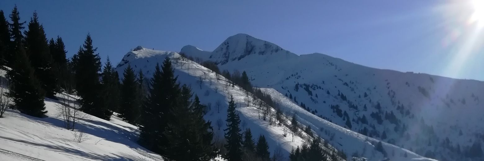 Desperate Houseman banner