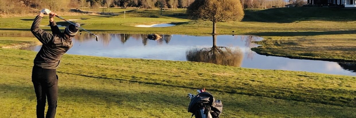 Linus wahlström banner