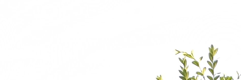 domnuspike's profile banner image