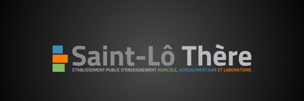 saintlothere Profile Banner