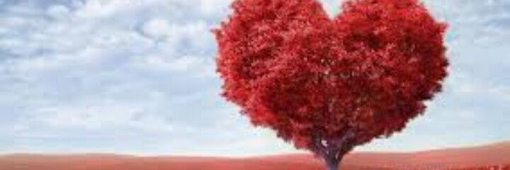 agosbeltrame's profile banner image