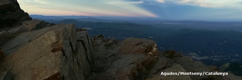 Mercè Mas i Ferrer 🎗 banner