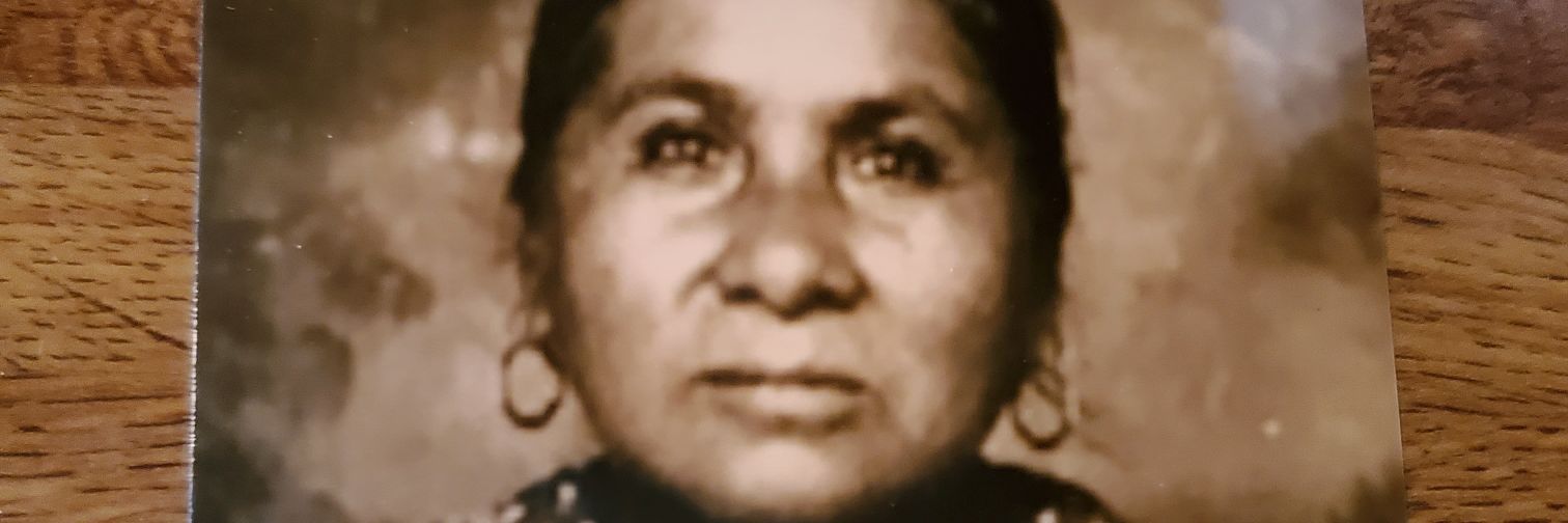 Toni Tiger🧡 banner