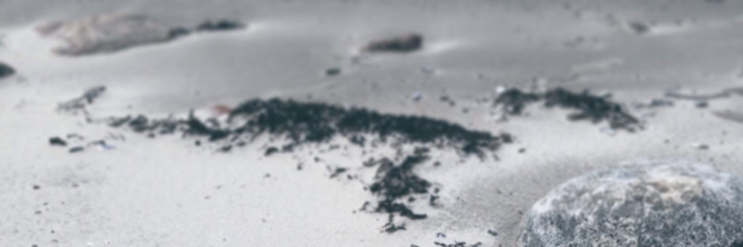 Hanne Lykke Schou banner