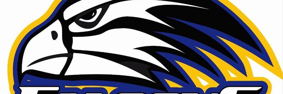 LILYDALEFC's profile banner image