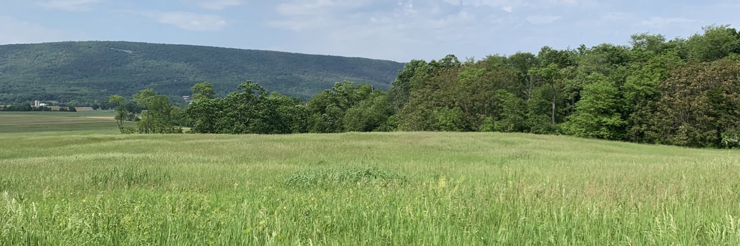 lrederscheid's profile banner image