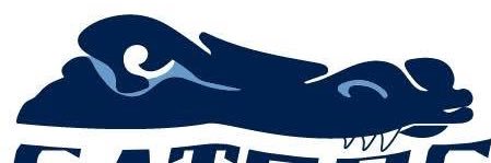 Gators Baseball Academy's banner