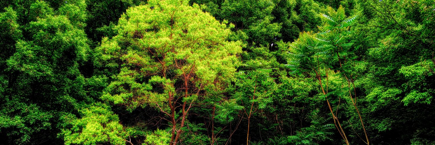 AGoo54's profile banner image