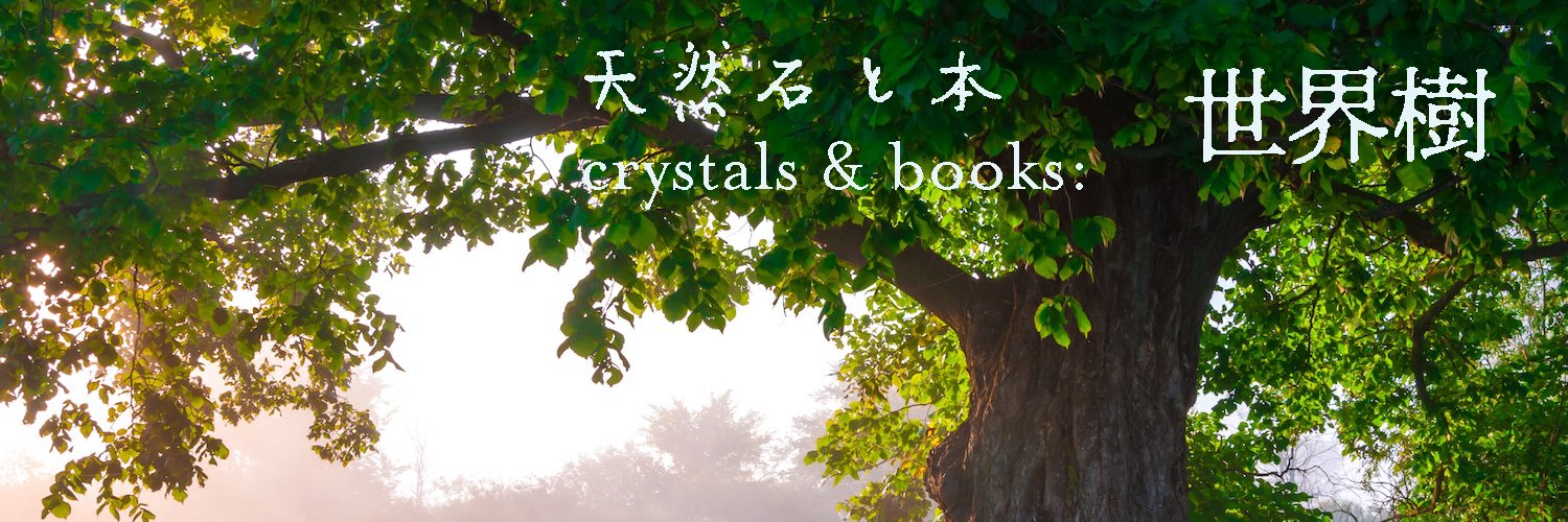 LumiereJp's profile banner image