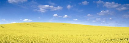 Jens Hjerling Leffler ⭐️⭐️🇺🇦⬜️🟥⬜️'s banner