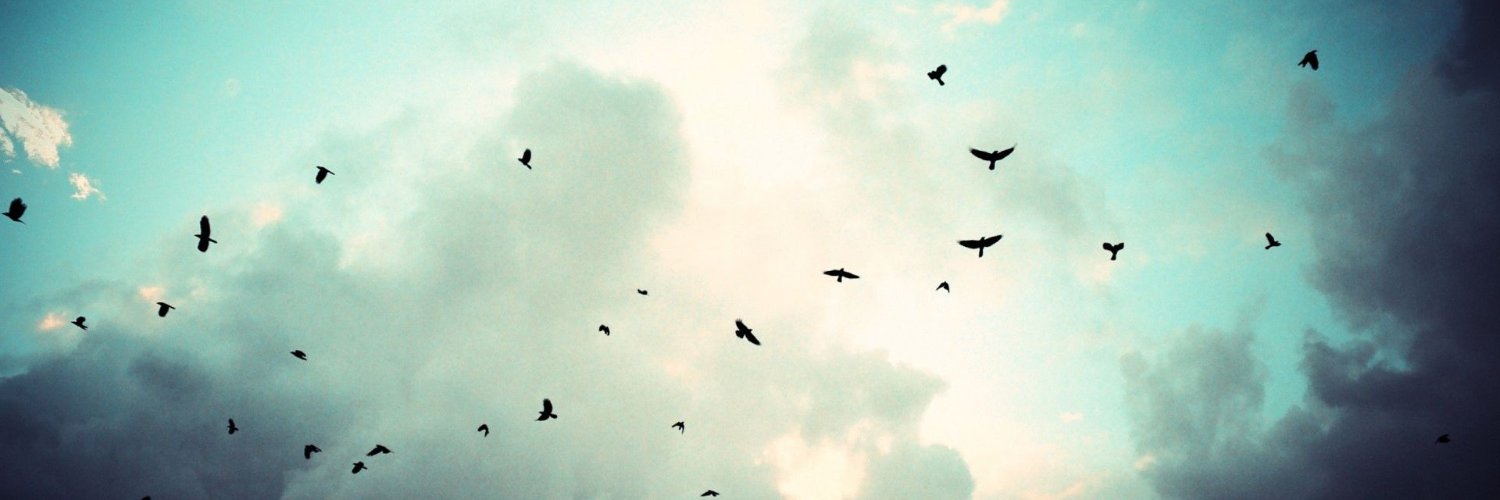 cleberadolfo's profile banner image