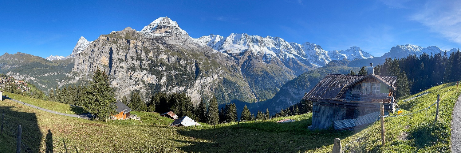 Ryan N. Lambert banner