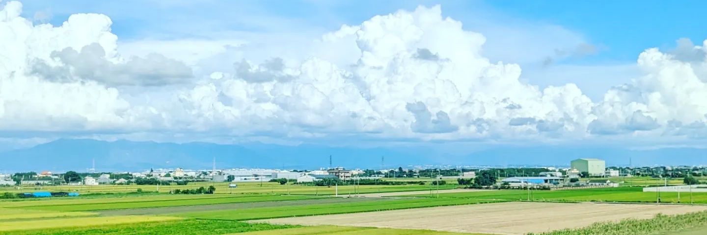 耀西 よしけ banner