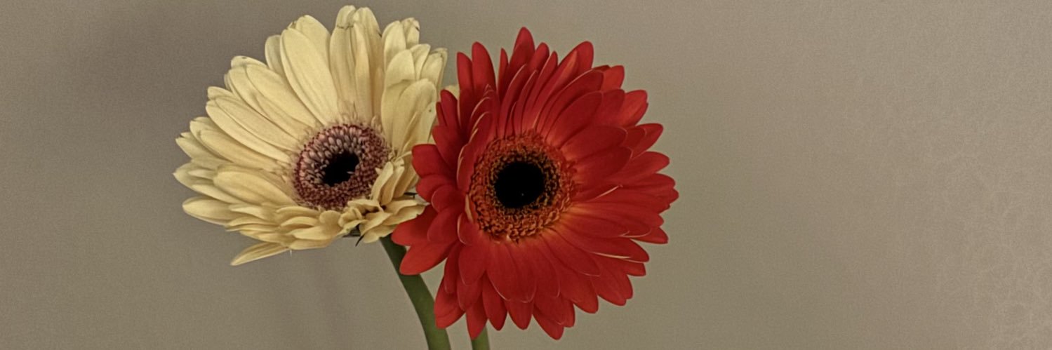 12thnovember_'s profile banner image