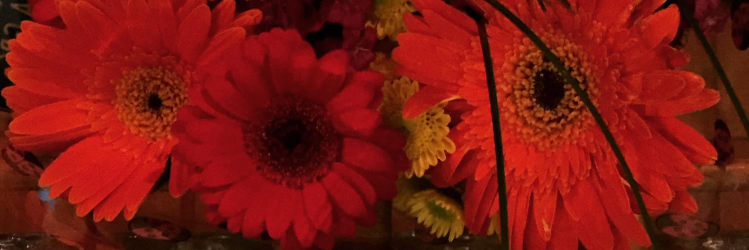 LMFin18's profile banner image